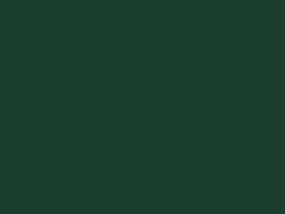 13_RAL-6005-OPACO-DR-637.jpg